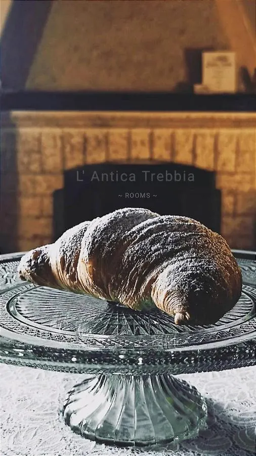 L' Antica Trebbia - Rooms كالتانيسيتا